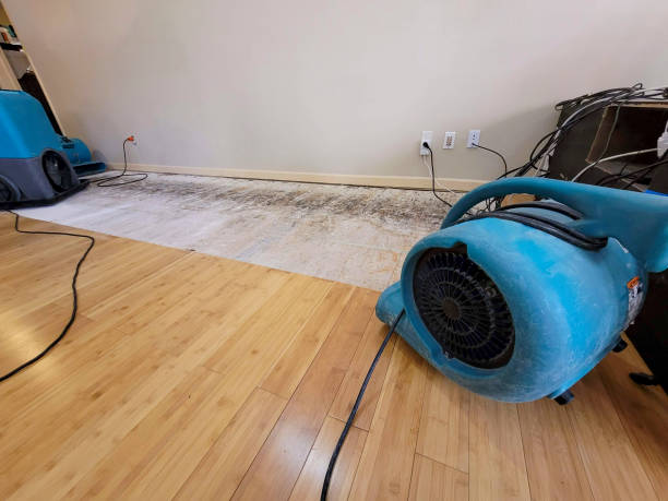Professional Water Removal technician working in Sunset, FL